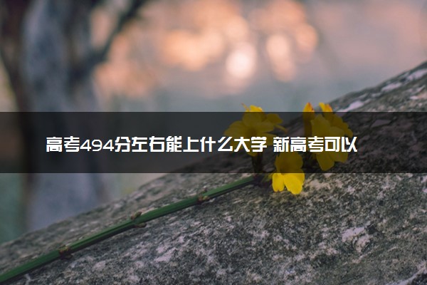 高考494分左右能上什么大学 新高考可以报考的公办院校