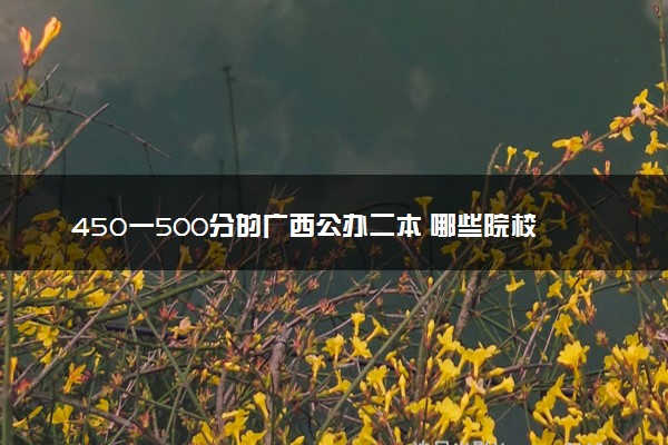 450一500分的广西公办二本 哪些院校适合报