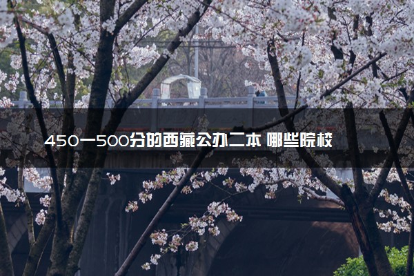 450一500分的西藏公办二本 哪些院校适合报