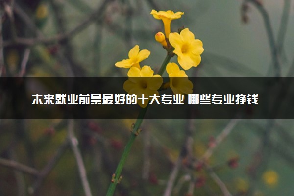 未来就业前景最好的十大专业 哪些专业挣钱多还轻松