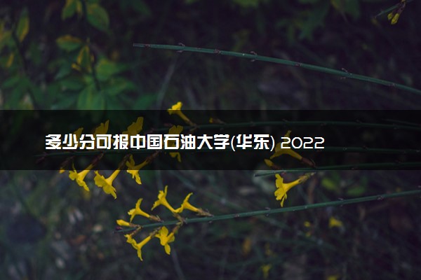 多少分可报中国石油大学（华东） 2022最低分是多少