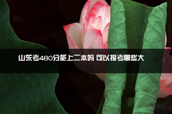 山东考480分能上二本吗 可以报考哪些大学