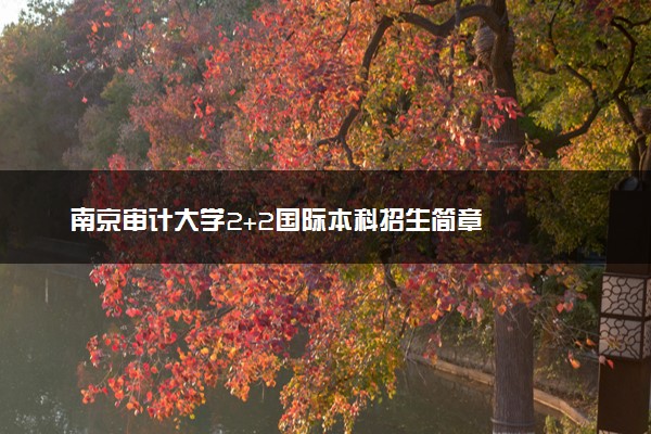 南京审计大学2+2国际本科招生简章