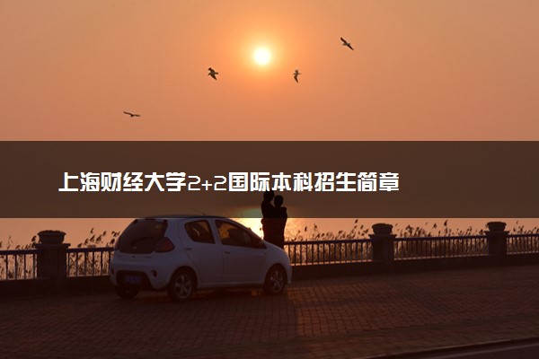 上海财经大学2+2国际本科招生简章