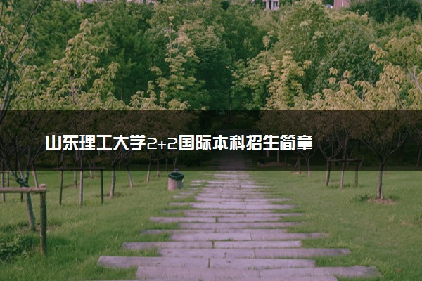 山东理工大学2+2国际本科招生简章