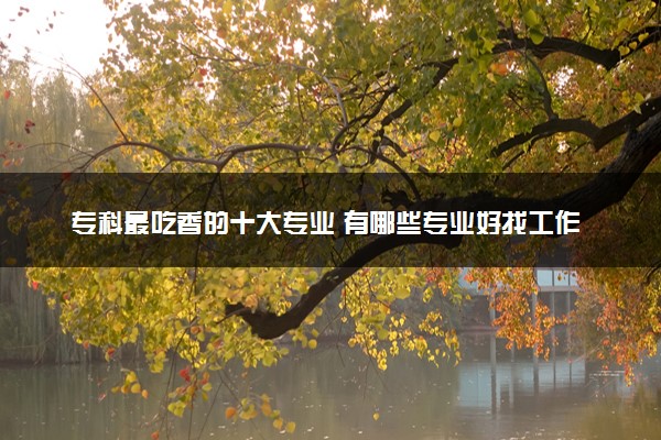 专科最吃香的十大专业 有哪些专业好找工作
