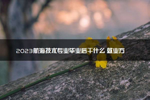 2023航海技术专业毕业后干什么 就业方向有哪些