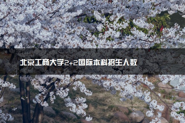 北京工商大学2+2国际本科招生人数