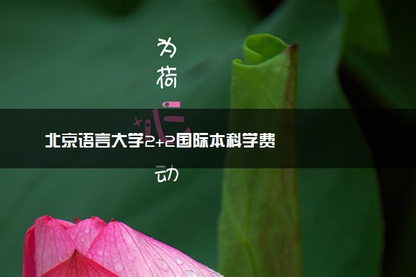 北京语言大学2+2国际本科学费