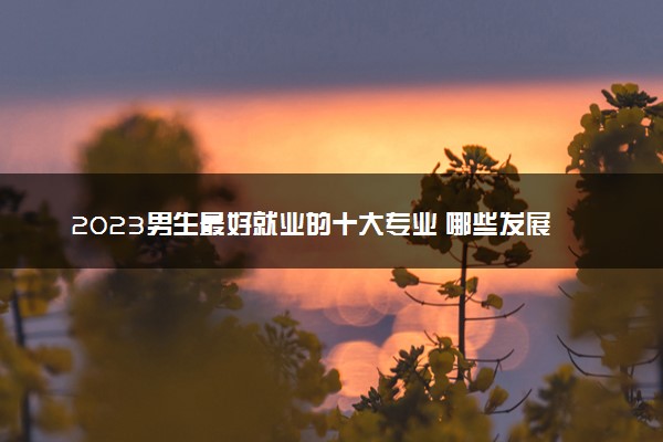 2023男生最好就业的十大专业 哪些发展好