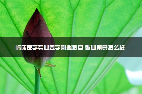 临床医学专业要学哪些科目 就业前景怎么样