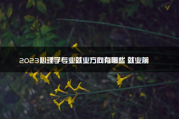 2023心理学专业就业方向有哪些 就业前景如何