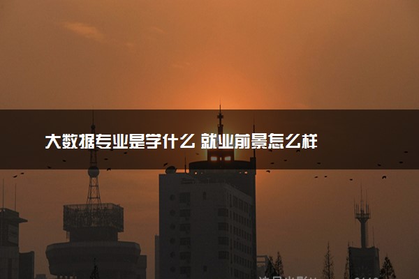 大数据专业是学什么 就业前景怎么样
