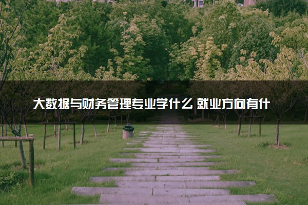 大数据与财务管理专业学什么 就业方向有什么