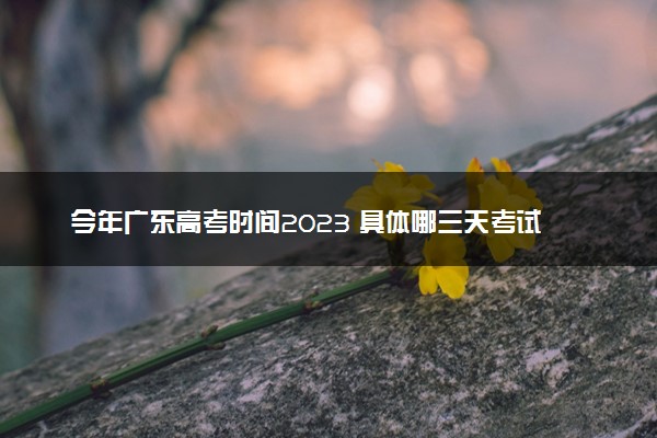 今年广东高考时间2023 具体哪三天考试