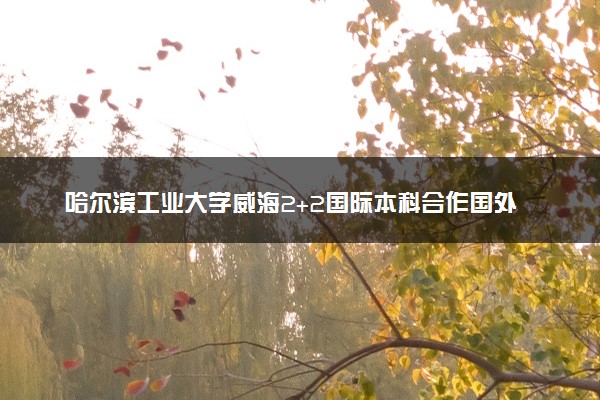 哈尔滨工业大学威海2+2国际本科合作国外院校