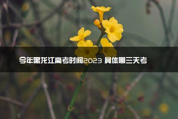 今年黑龙江高考时间2023 具体哪三天考试