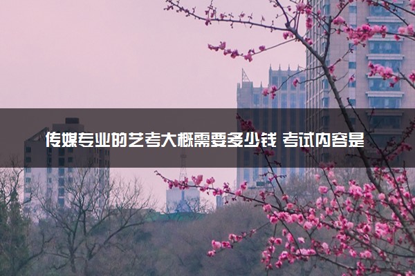 传媒专业的艺考大概需要多少钱 考试内容是什么