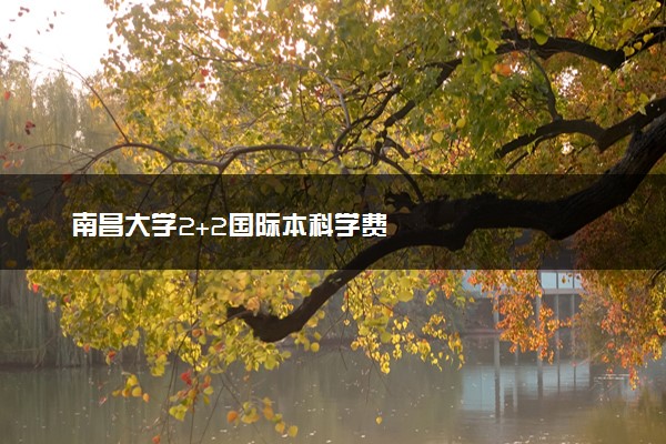 南昌大学2+2国际本科学费