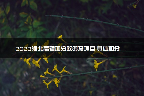 2023河北高考加分政策及项目 具体加分内容