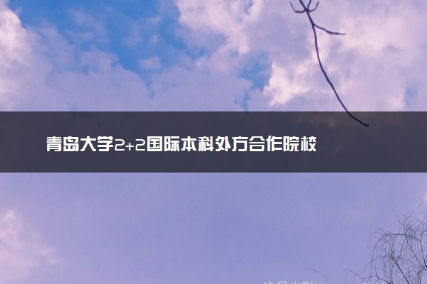 青岛大学2+2国际本科外方合作院校