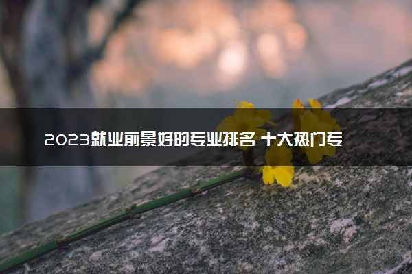 2023就业前景好的专业排名 十大热门专业