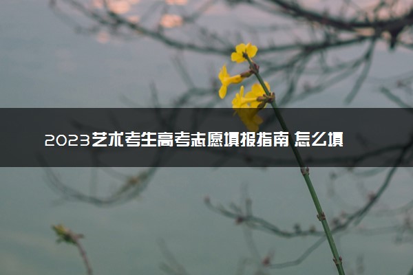 2023艺术考生高考志愿填报指南 怎么填报适合自己