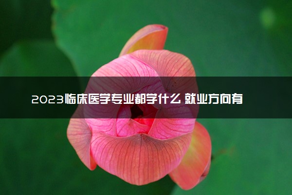 2023临床医学专业都学什么 就业方向有哪些