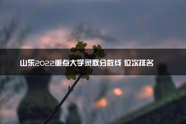 山东2022重点大学录取分数线 位次排名完整汇总