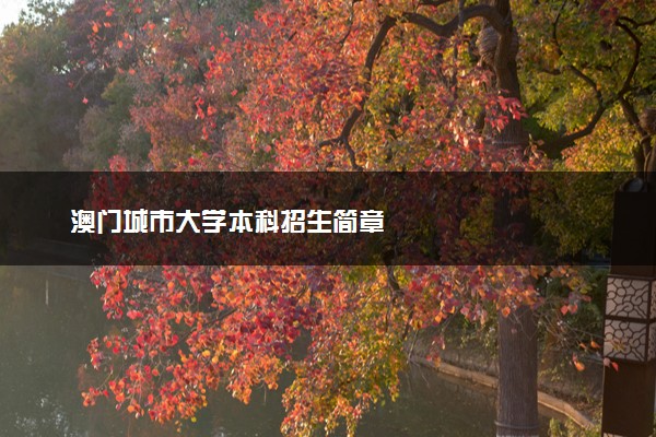 澳门城市大学本科招生简章
