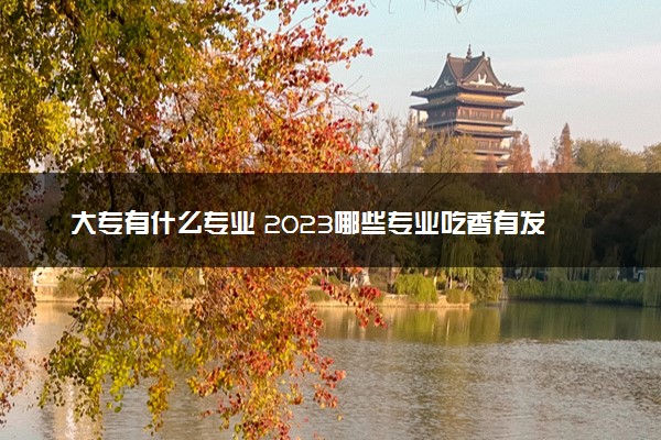 大专有什么专业 2023哪些专业吃香有发展