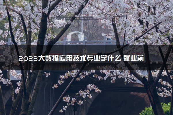 2023大数据应用技术专业学什么 就业前景好不好