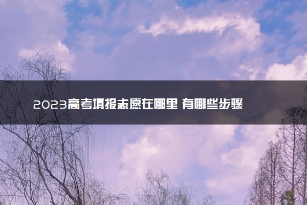 2023高考填报志愿在哪里 有哪些步骤