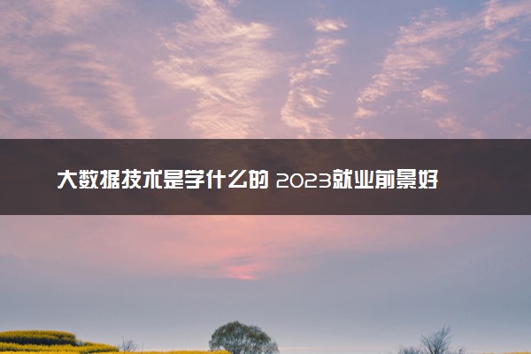 大数据技术是学什么的 2023就业前景好吗