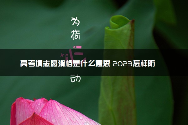 高考填志愿滑档是什么意思 2023怎样防止滑档