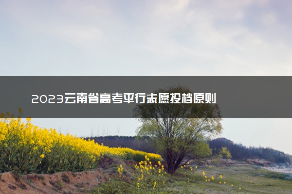 2023云南省高考平行志愿投档原则