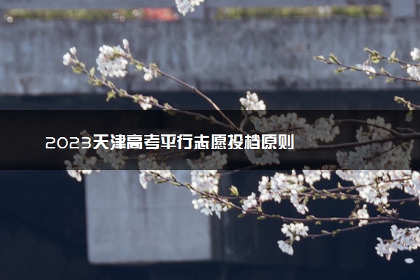 2023天津高考平行志愿投档原则