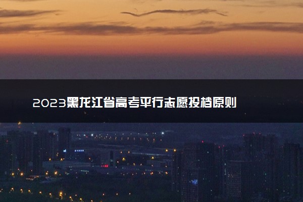 2023黑龙江省高考平行志愿投档原则