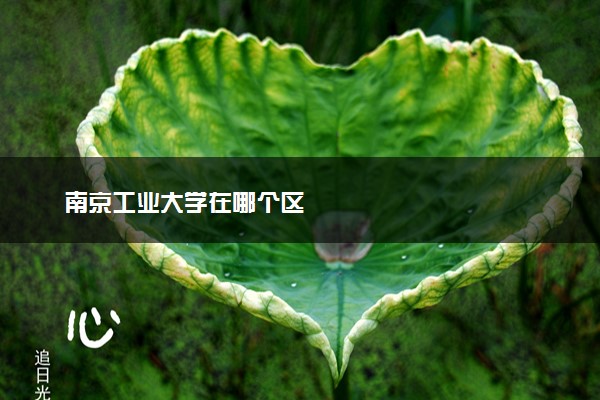 南京工业大学在哪个区