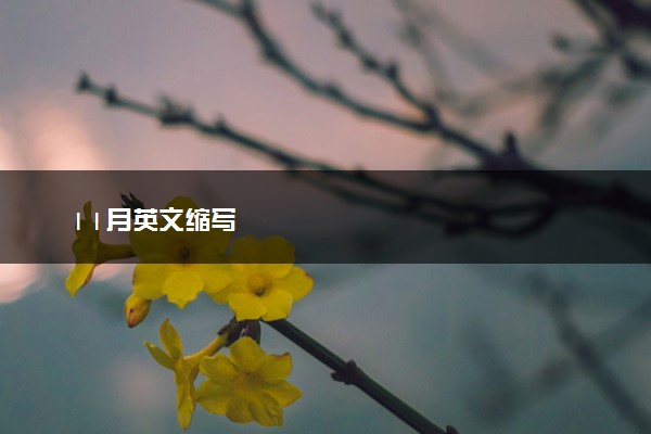 11月英文缩写