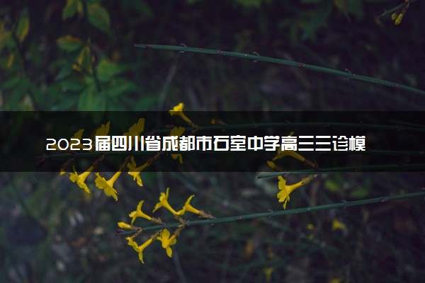 2023届四川省成都市石室中学高三三诊模拟语文试题