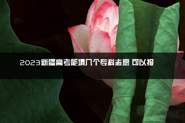 2023新疆高考能填几个专科志愿 可以报几个学校和专业