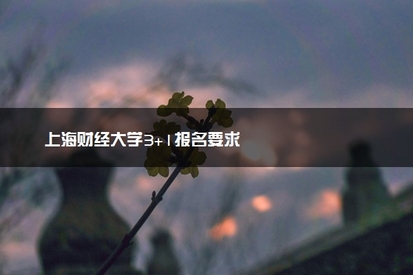上海财经大学3+1报名要求
