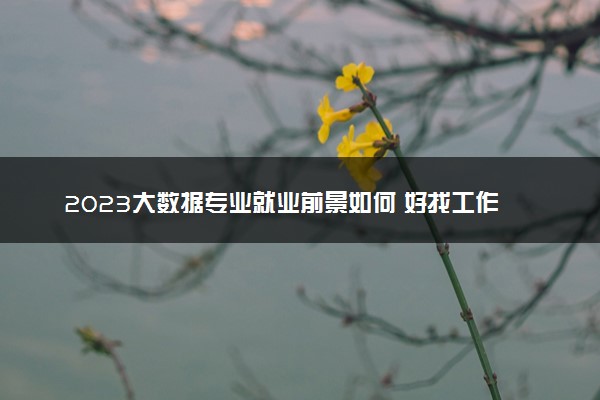 2023大数据专业就业前景如何 好找工作吗