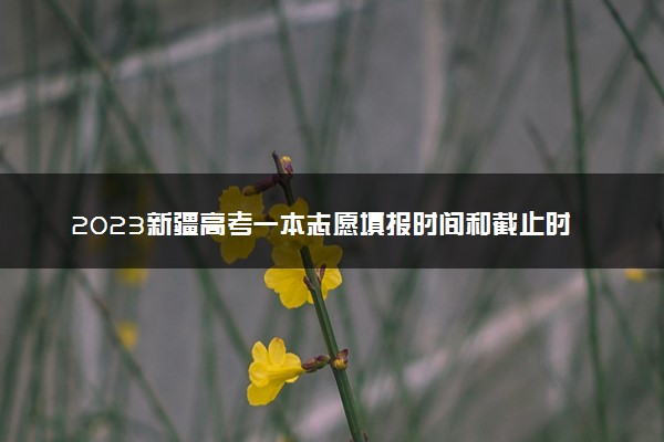 2023新疆高考一本志愿填报时间和截止时间