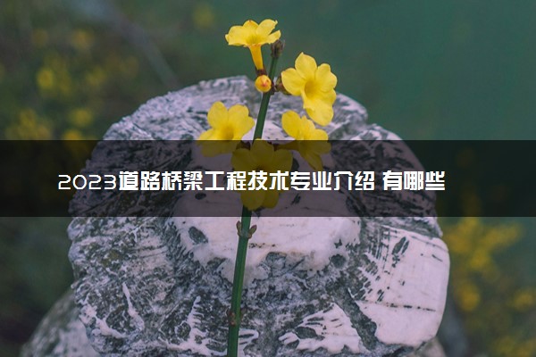 2023道路桥梁工程技术专业介绍 有哪些就业方向