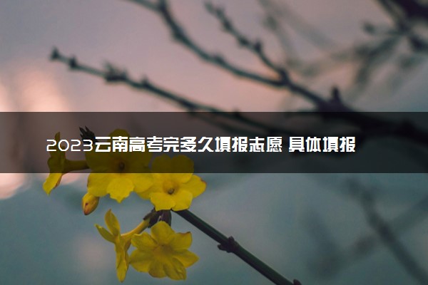 2023云南高考完多久填报志愿 具体填报时间