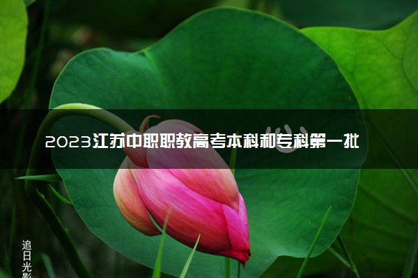2023江苏中职职教高考本科和专科第一批次分数线是多少