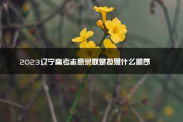 2023辽宁高考志愿录取是按照什么顺序