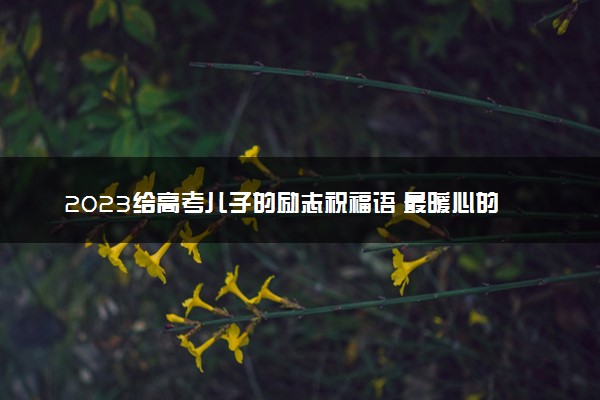 2023给高考儿子的励志祝福语 最暖心的话语有哪些